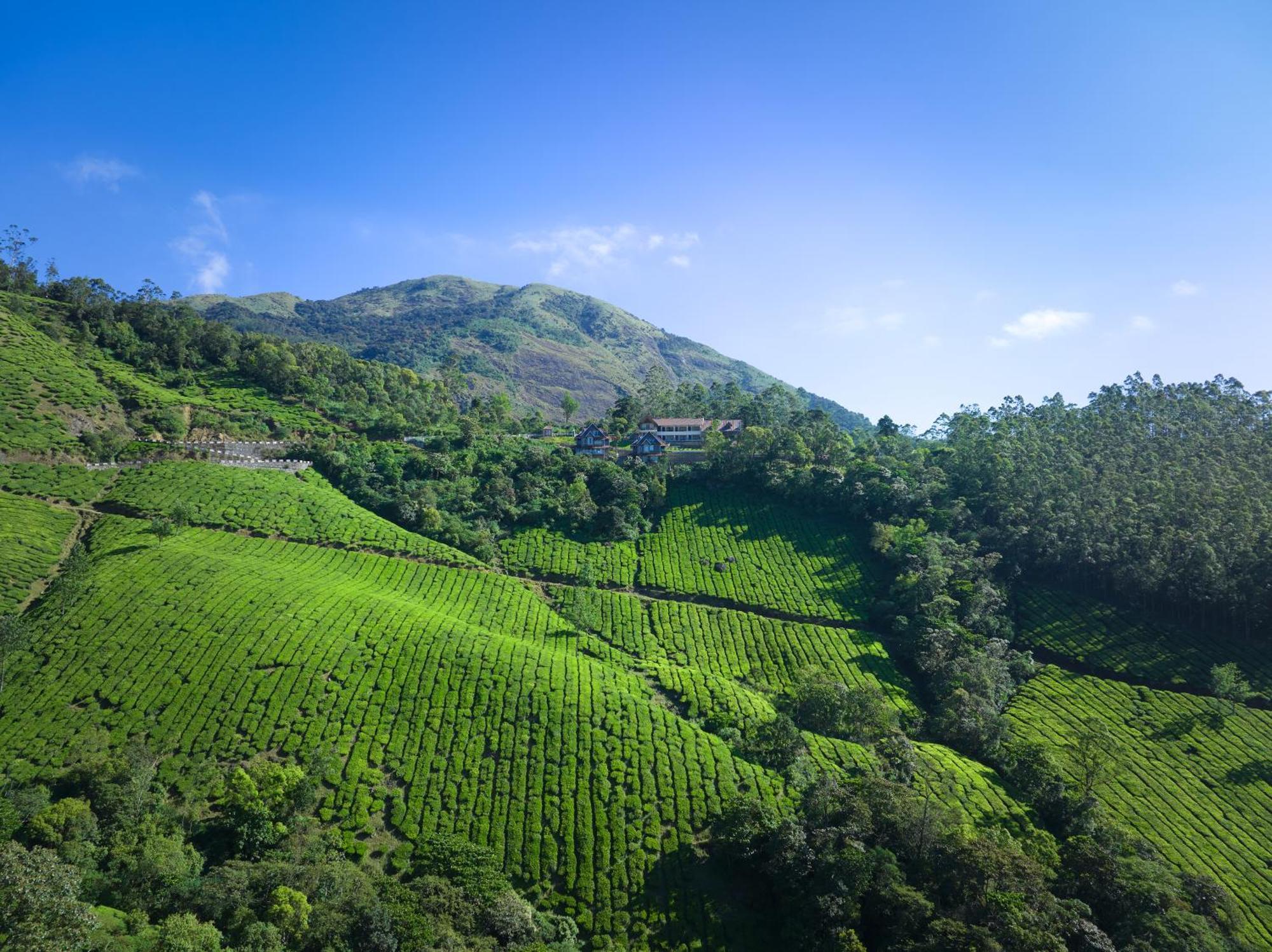 Hotel The Planet Munnar Suryanelli Esterno foto